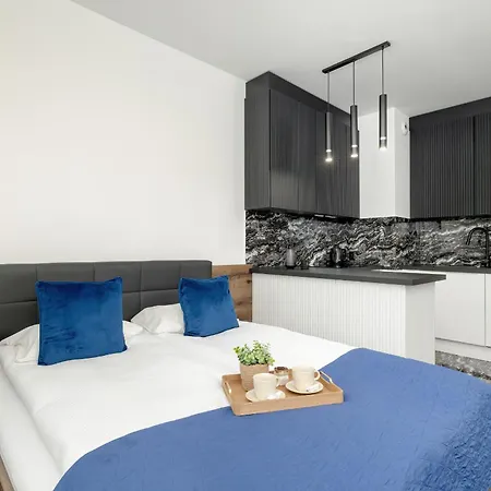 Elegant Studio For 3 People, Air Conditioning And Balcony By Renters